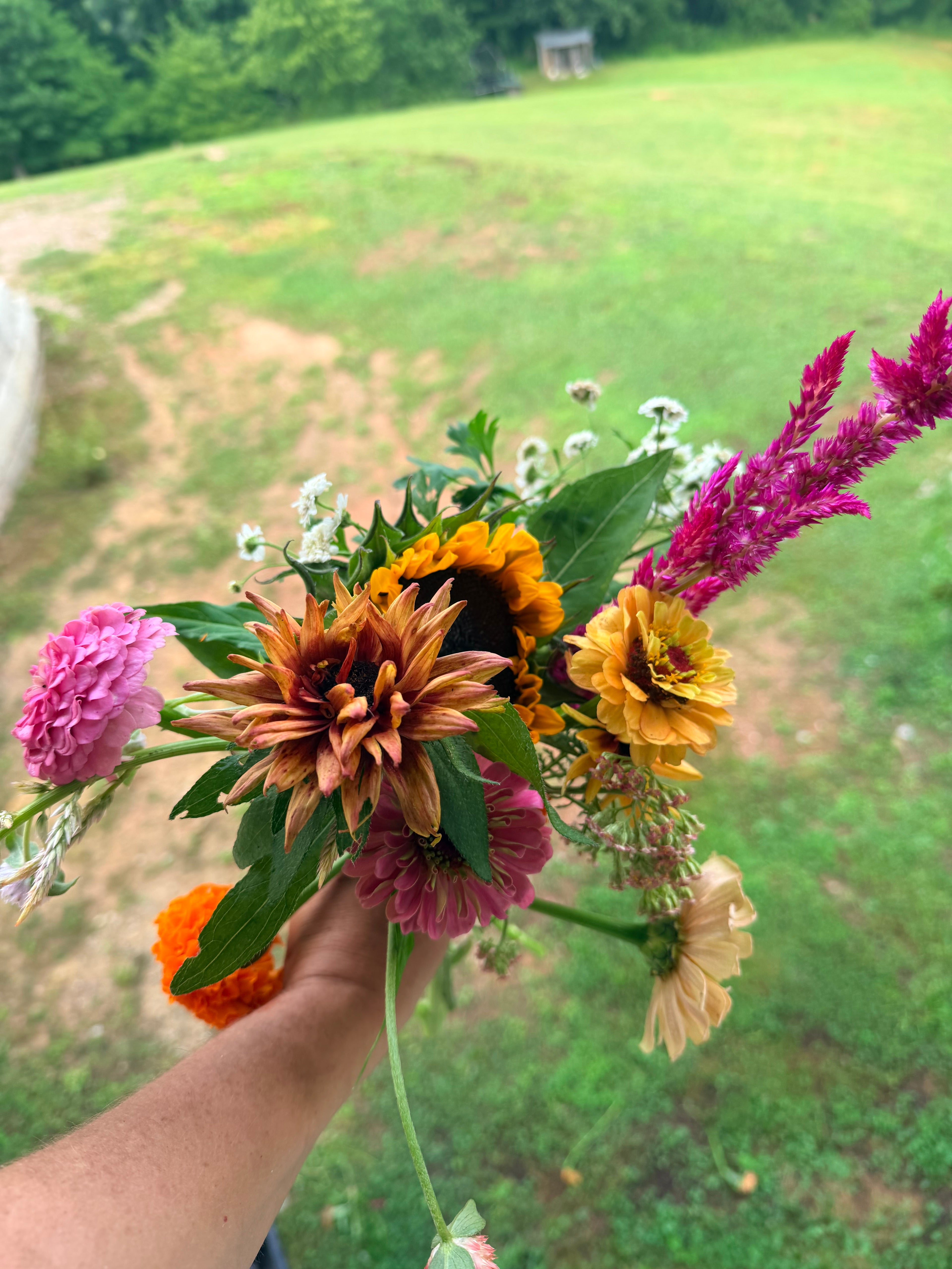 Bouquet