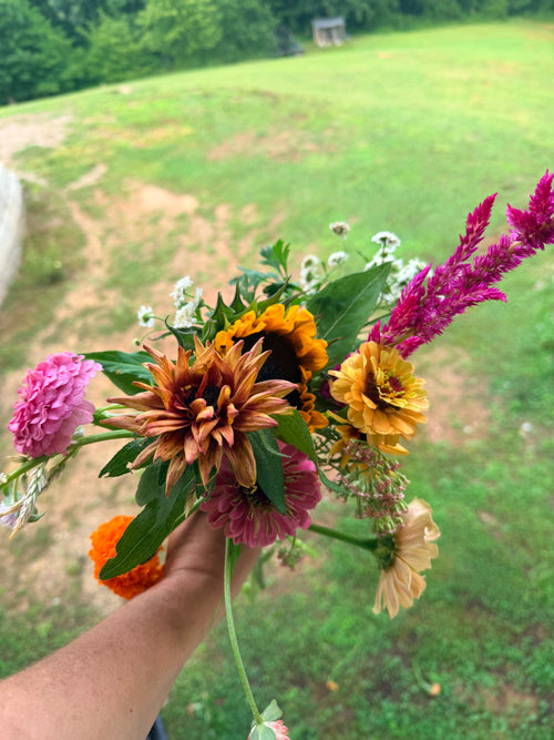 Bouquet