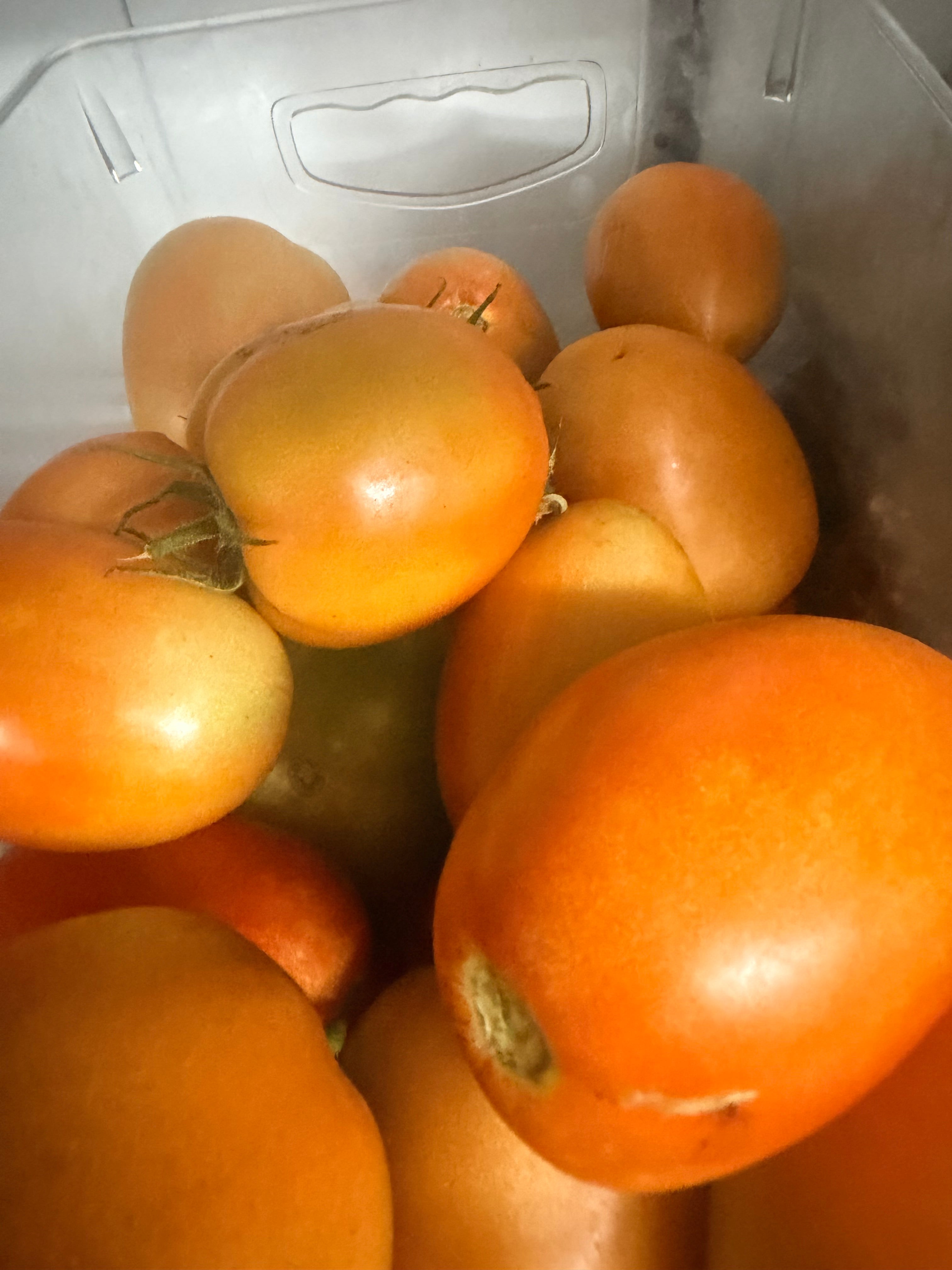 Paste Tomatoes