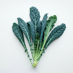 Kale - Kale - 1 - F01A - Mature - Pound